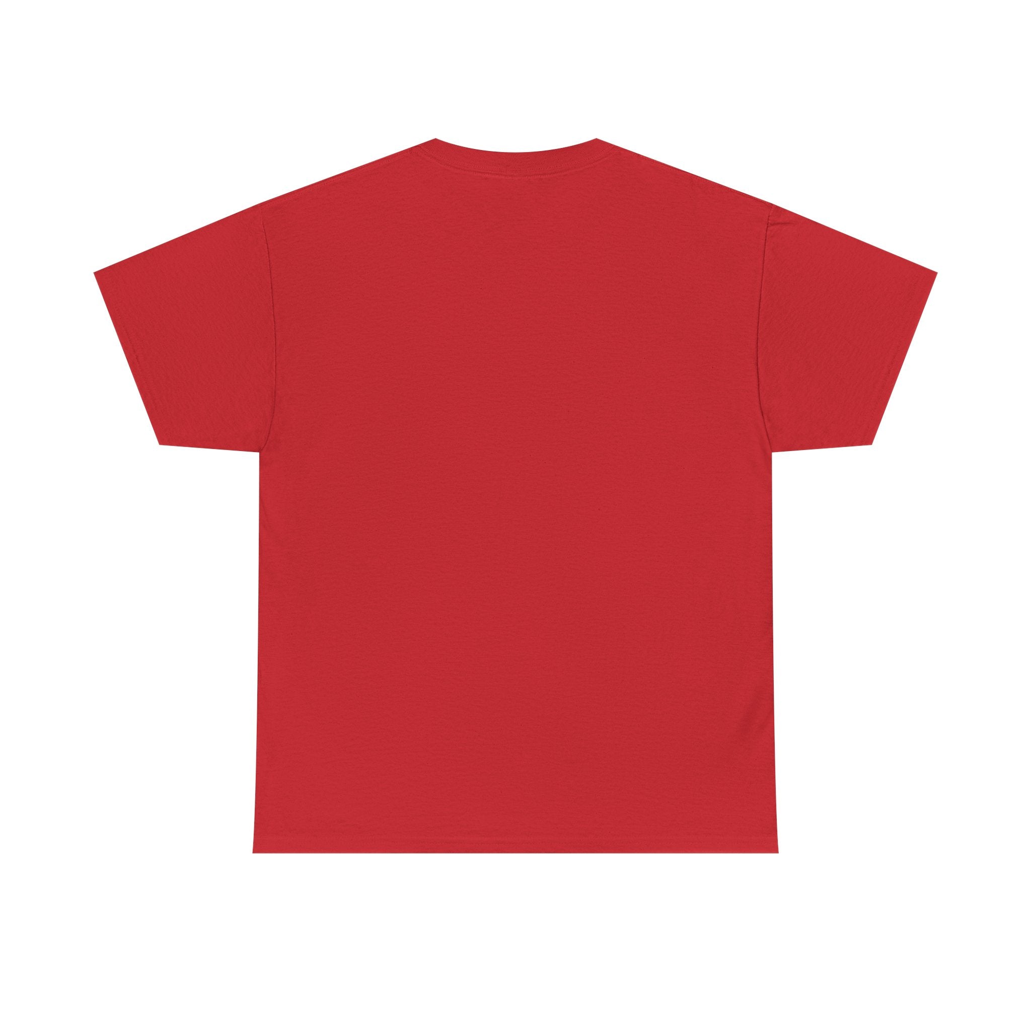 Unisex Heavy Cotton Tee - Skrud Essentials