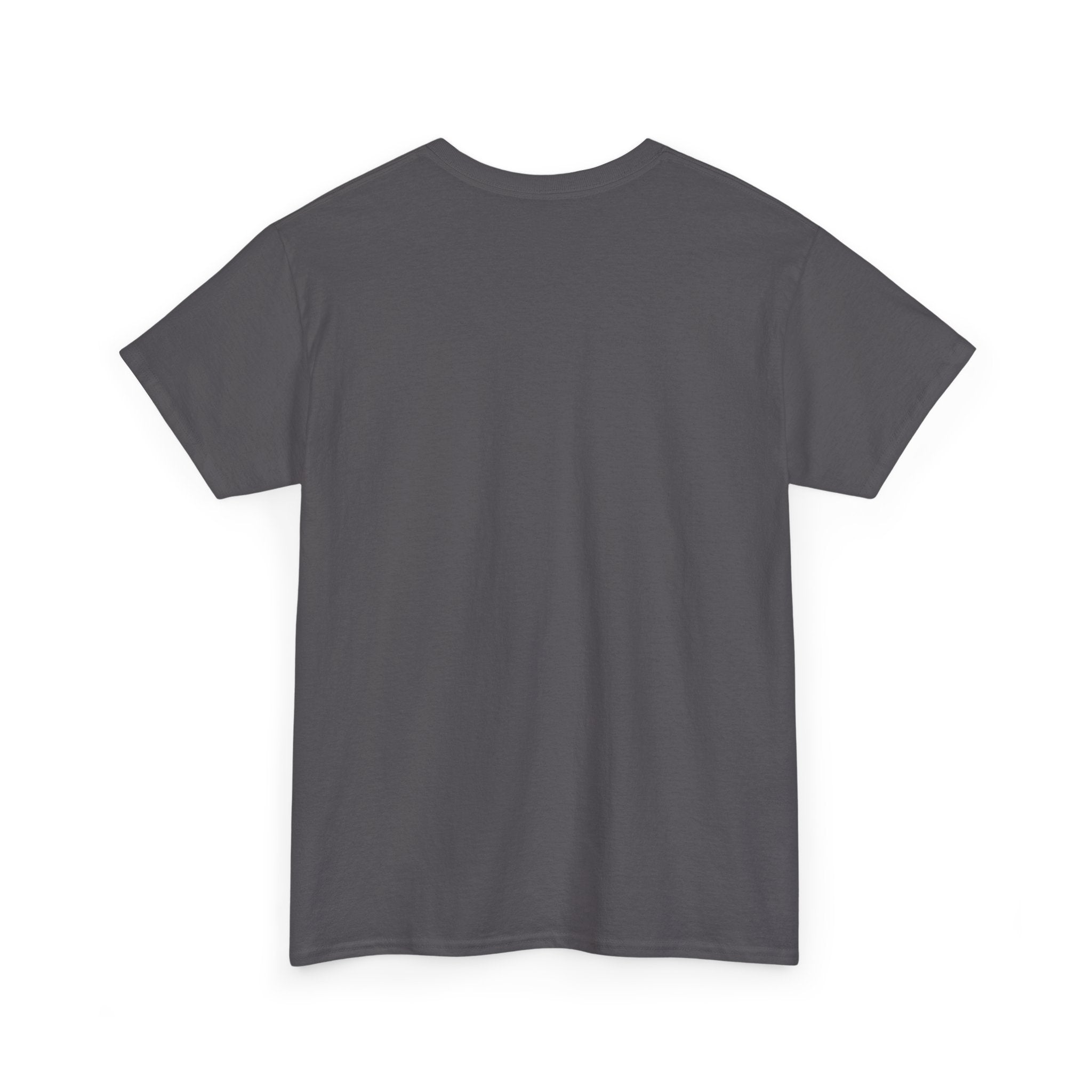 Unisex Heavy Cotton Tee - Skrud Essentials