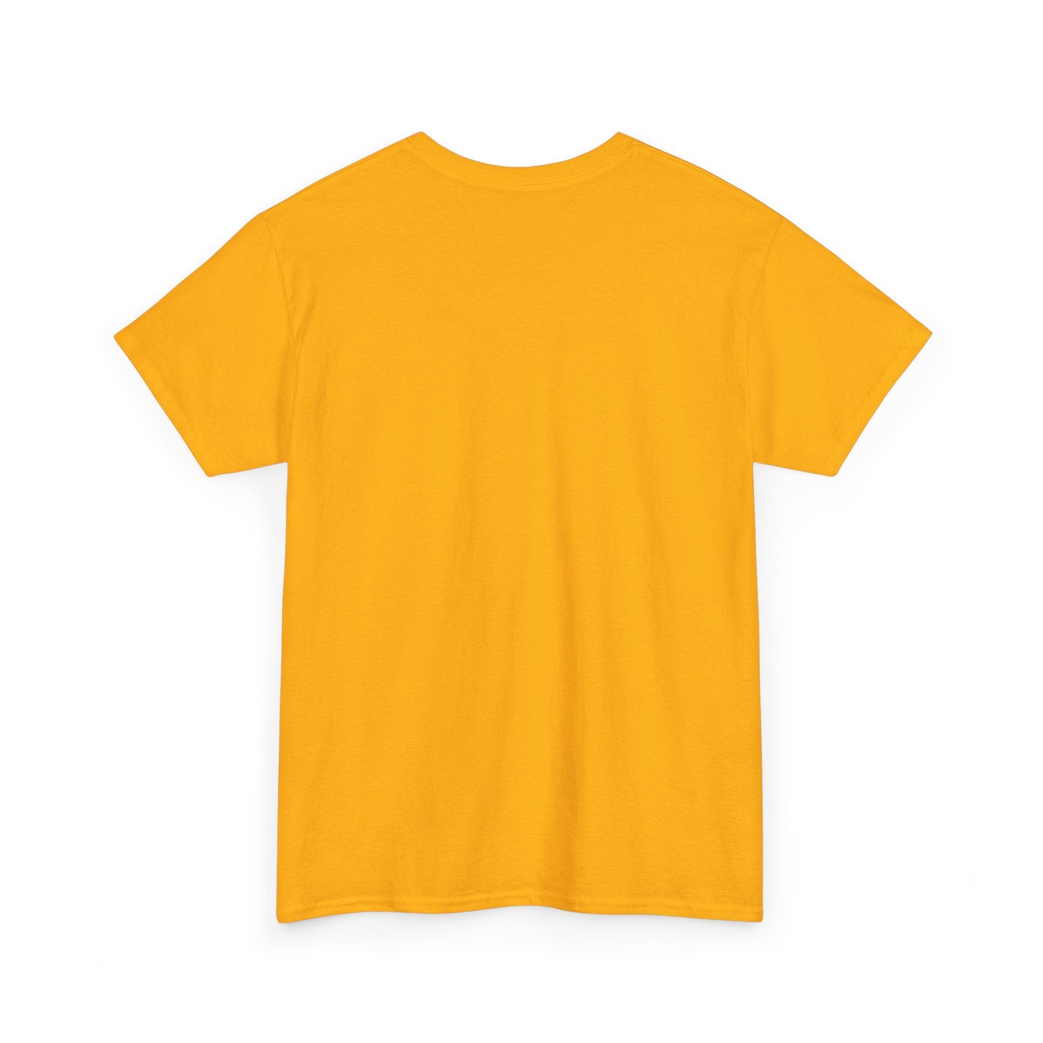Unisex Heavy Cotton Tee - Skrud Essentials