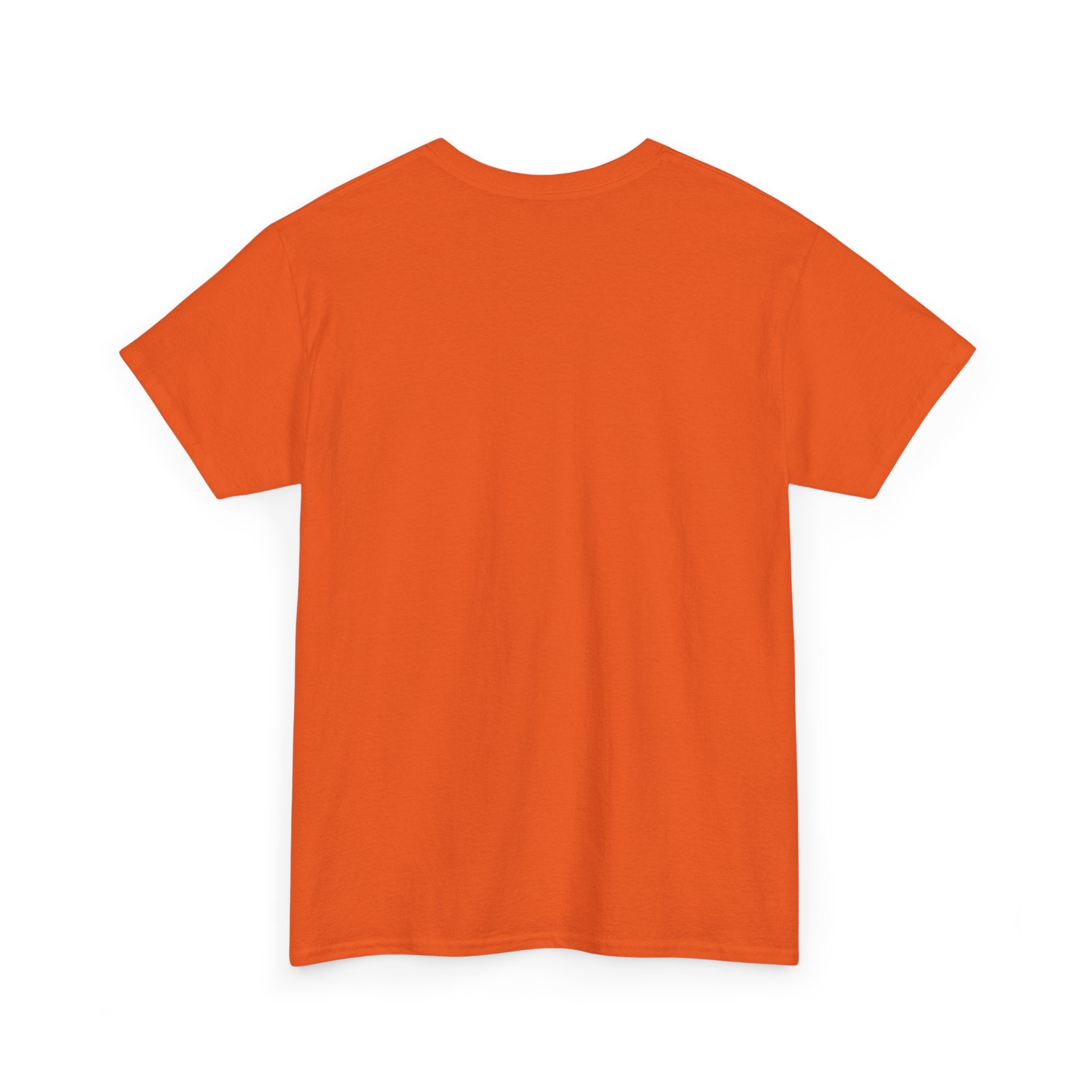 Unisex Heavy Cotton Tee - Skrud Essentials