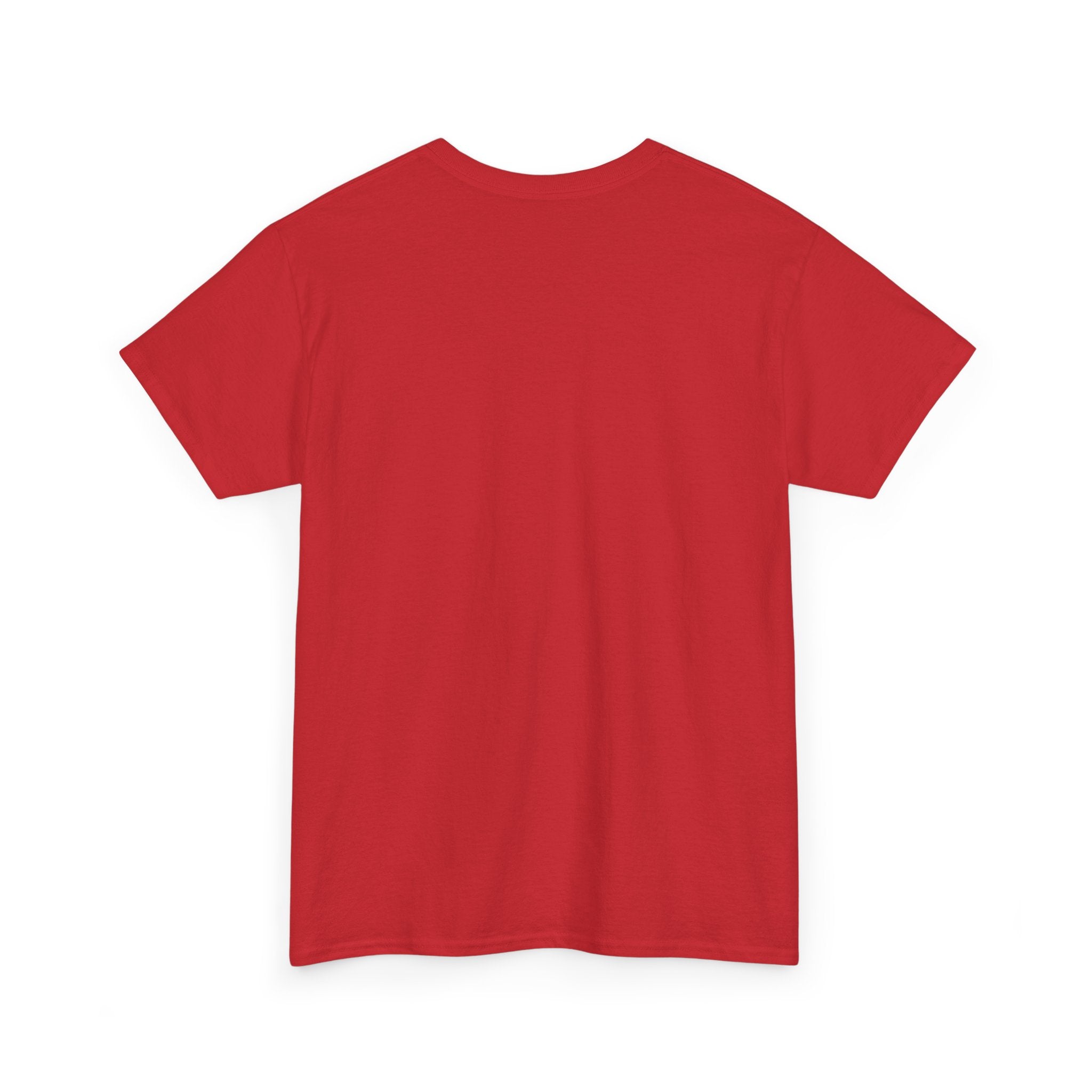 Unisex Heavy Cotton Tee - Skrud Essentials